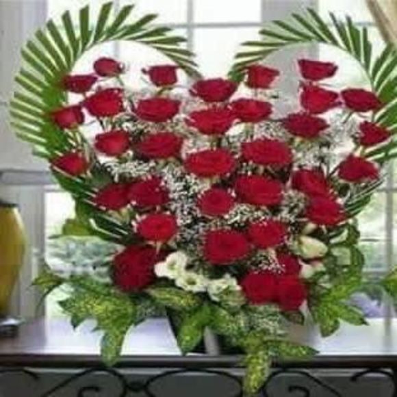 Meet your Posher, Jorge - Picture 1 of 1